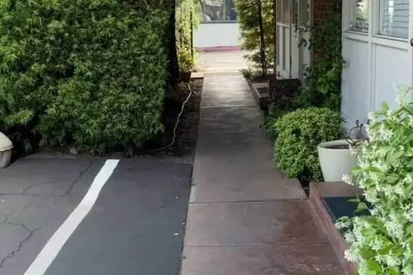 The garden walkway leading to the Wellness Architecture office in Menlo Park