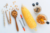 GMOs in Your Food: The Facts You Need to Know