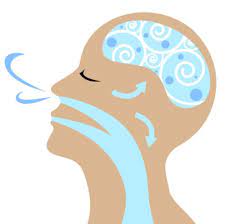 How to optimize the most essential nutrient to life in 5 minutes a day