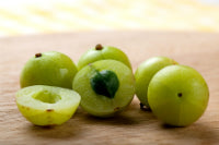 Amla: Indian Gooseberry (Emblica officinalis)