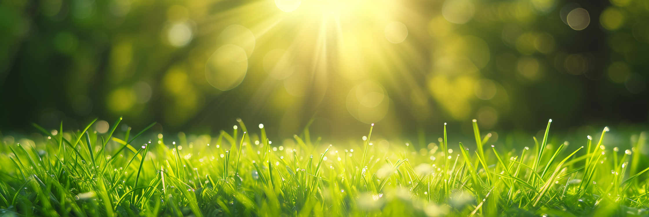 Four Free Things You Can Do To Boost Your Energy Right Now