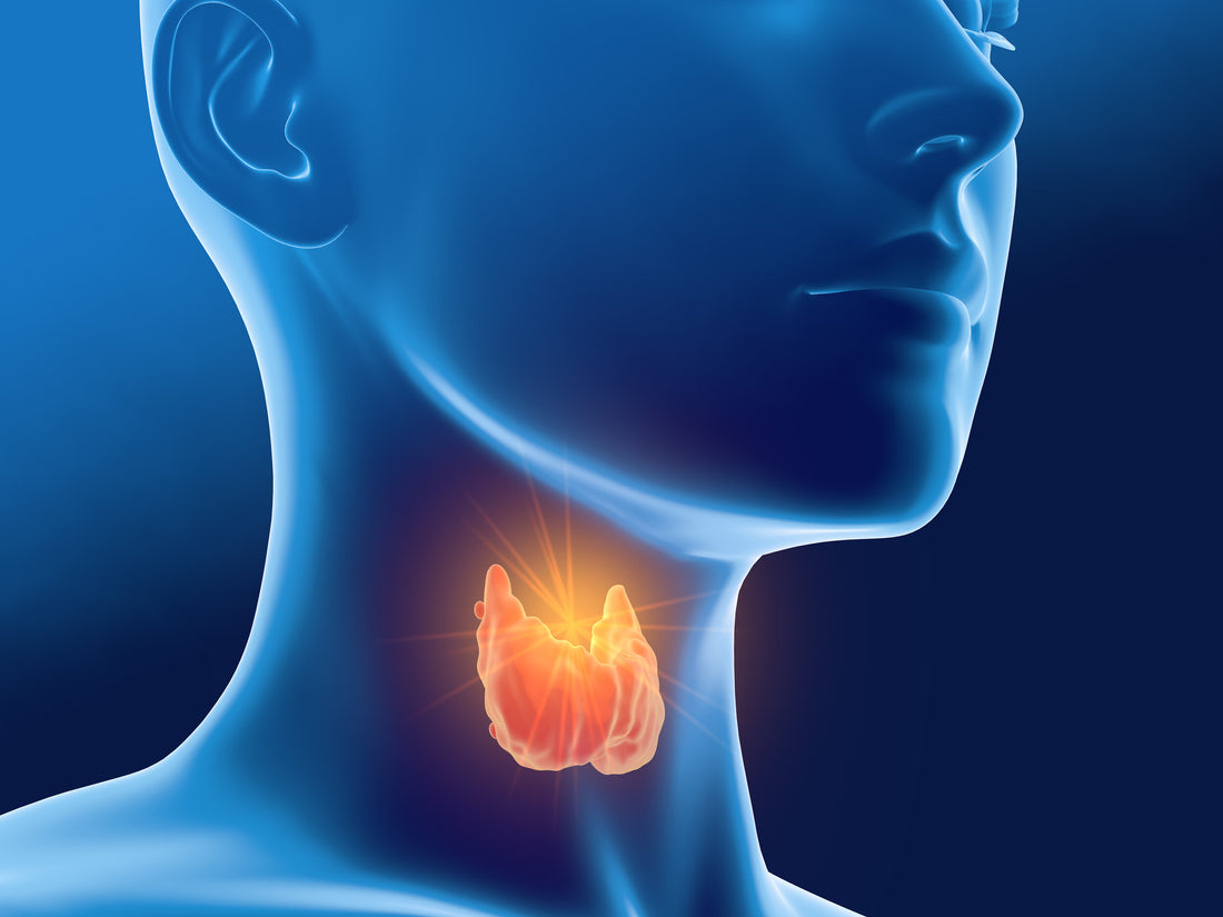 6 Reasons Your Thyroid Might Stop You From Losing Weight