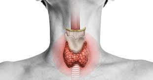 How to know if your thyroid is causing your symptoms