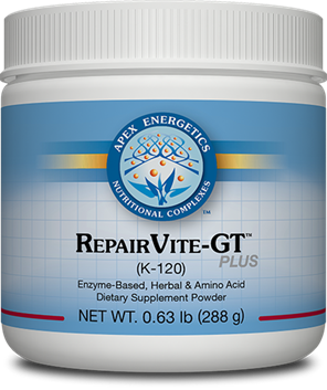 RepairVite-GT